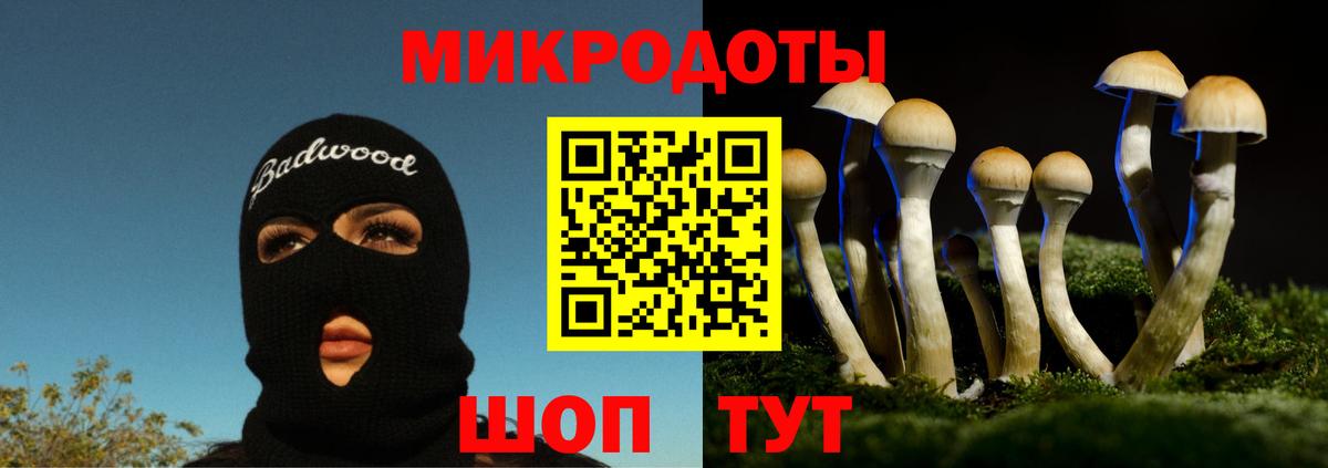 Псилоцибиновые грибы MAGIC MUSHROOMS  Вход с VPN  Новороссийск 